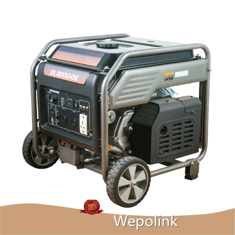 Custom Made 8000 Watt Generator Inverter Manufacturers 1