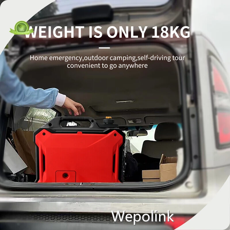Wepolink Gas Portable Generators Sale UN38.3vendor 1