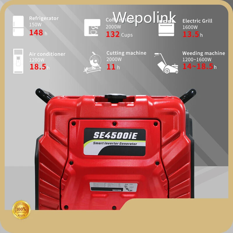 3000 Watt Gasoline Generator Shanghai by Wepolink 1