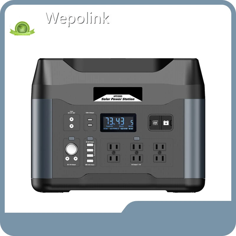 Top 1000 Watt Solar Power Station 1