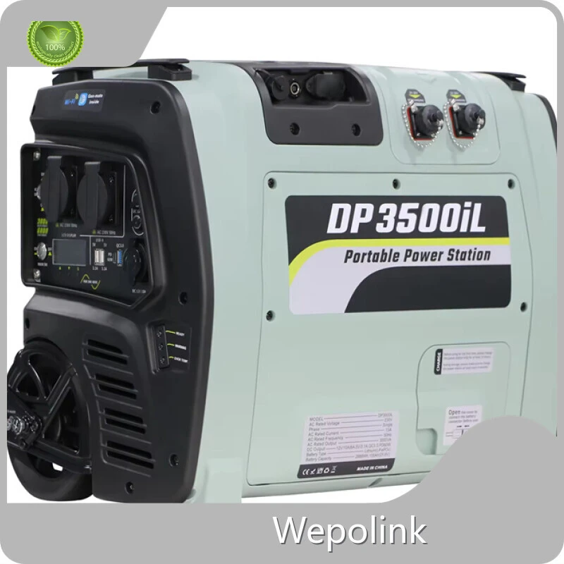 Portable Power Station Supplier Shanghai by Wepolink 1