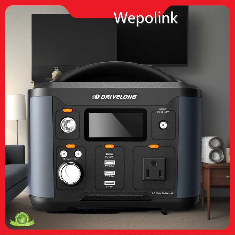 300 Watt Portable Power Station 300w by Wepolink 1
