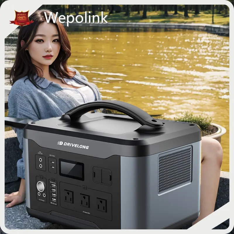 Quality 1000 Watt Power Station Factory Price 1