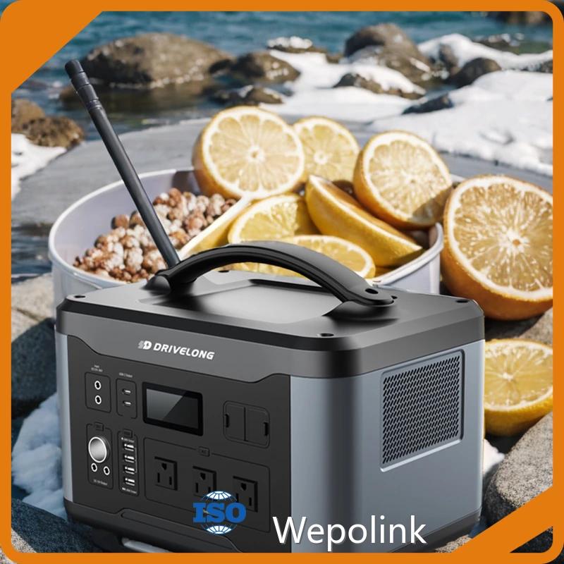 Wepolink 1000 Watts Solar Generator 1000VA 1000 Watts Solar Generatorsupply 1