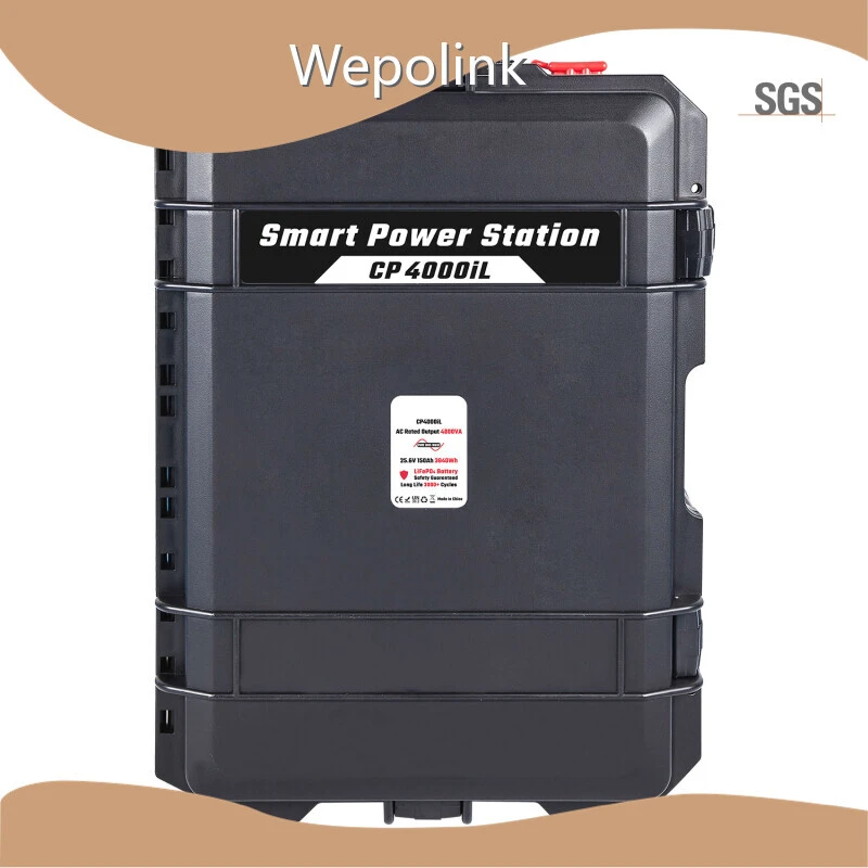Wepolink Portable Power Supplier MSDS Portable Power Supplierwholesale 1