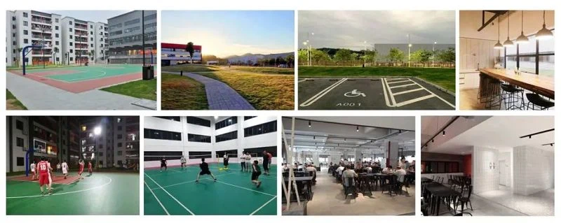 image005(001) image005(001)