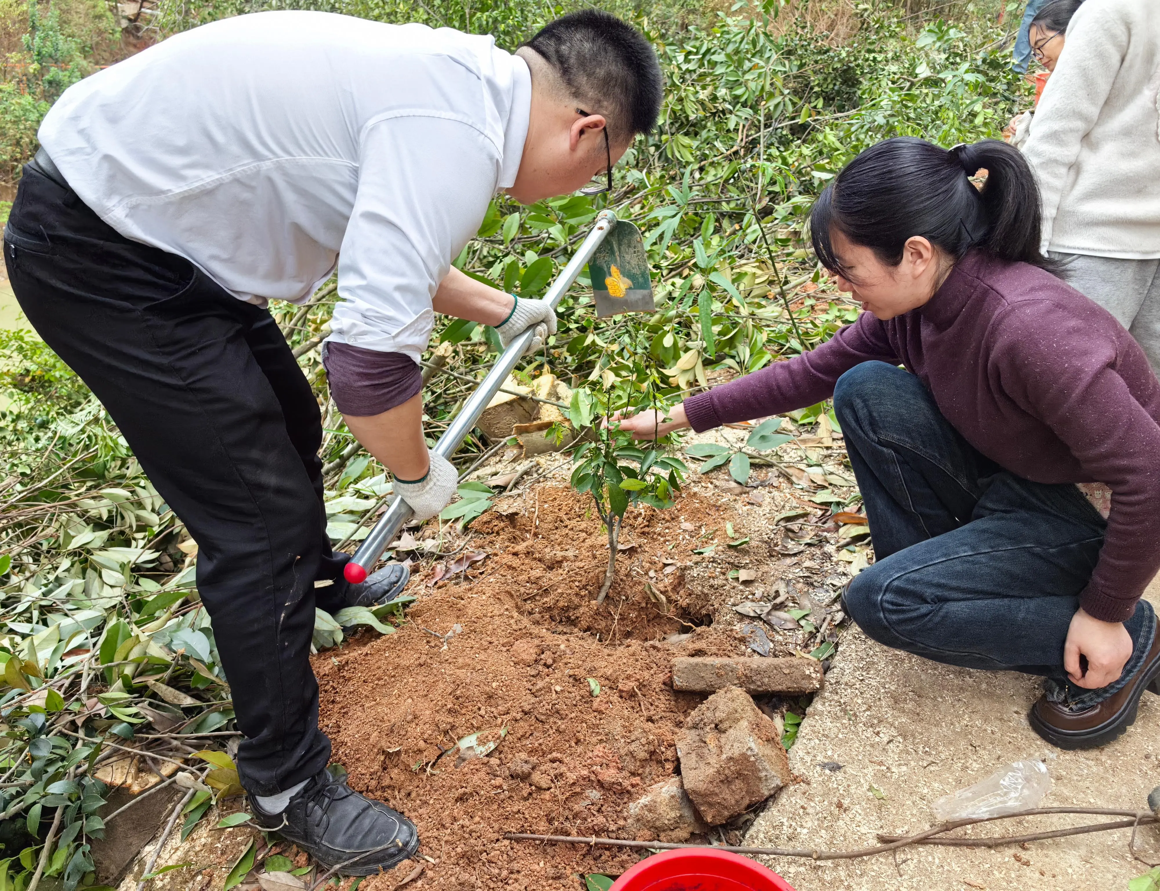 Tree Planting Day - Planting Trees of Hope Together to Create a New Green Chapter 8