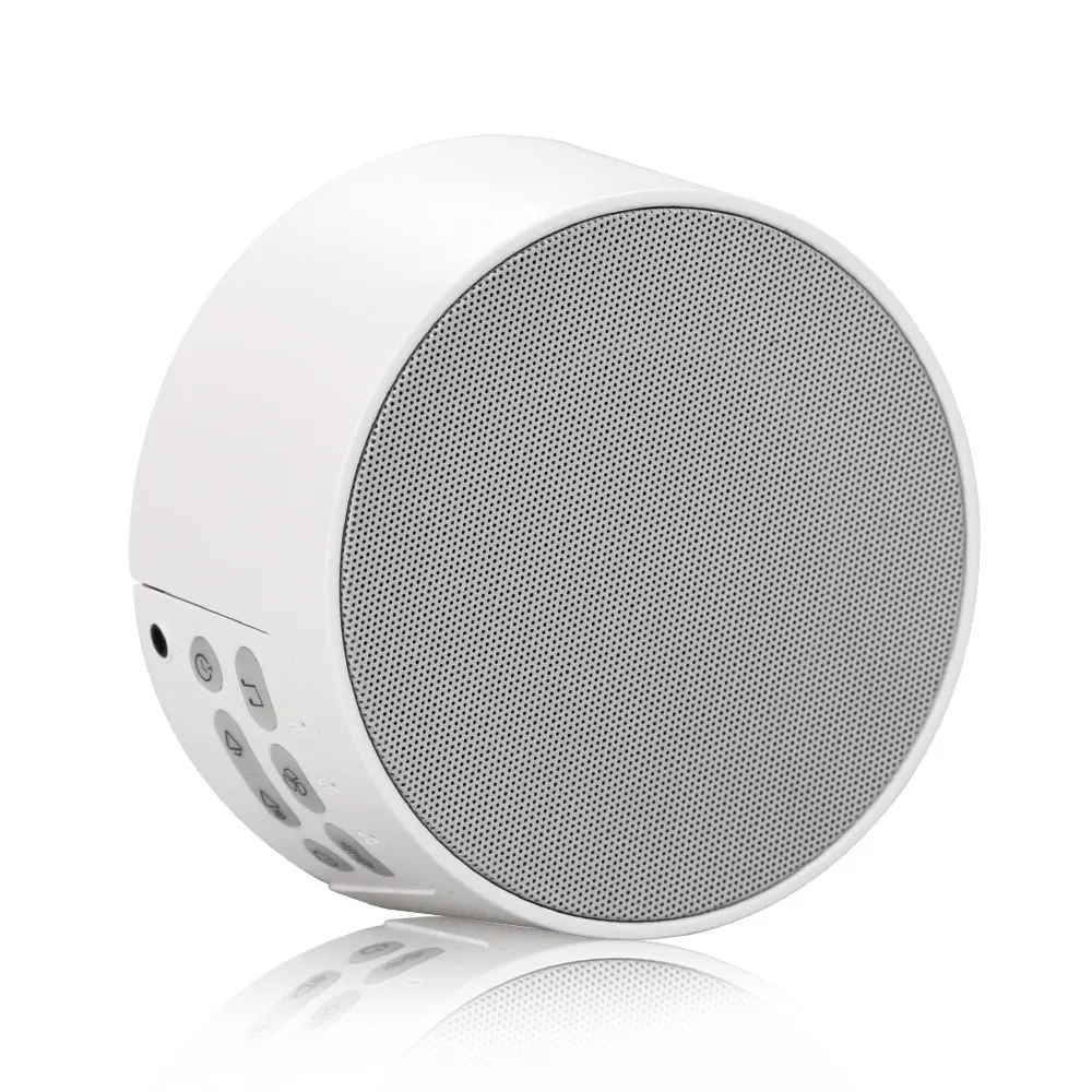 Commercial White Noise Machine Factory 2