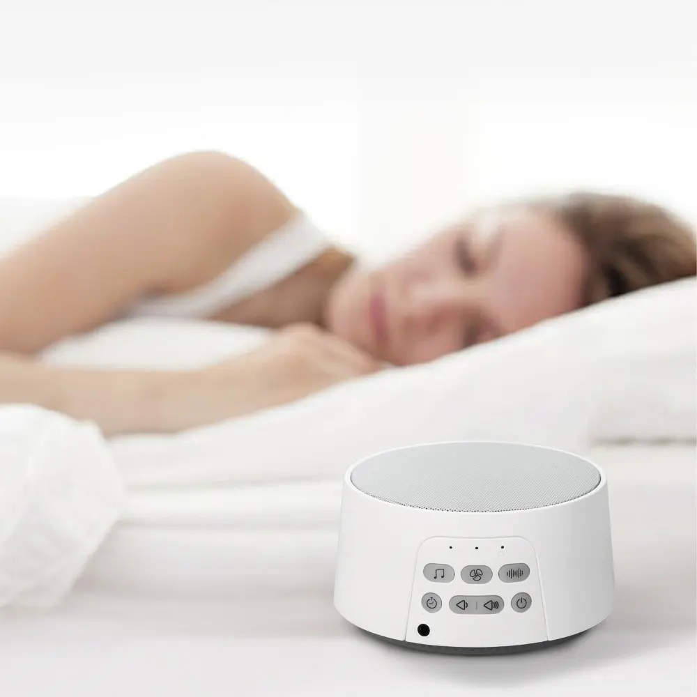 Commercial White Noise Machine Factory 6