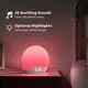 Hi-FiD OEM Light Sunrise Alarm Clock 2
