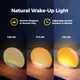 Hi-FiD OEM Light Sunrise Alarm Clock 3
