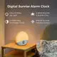 White Noise Machine for Office Privacy - - Hi-FiD 6