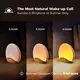 Latestsmall White Noise Machine 3