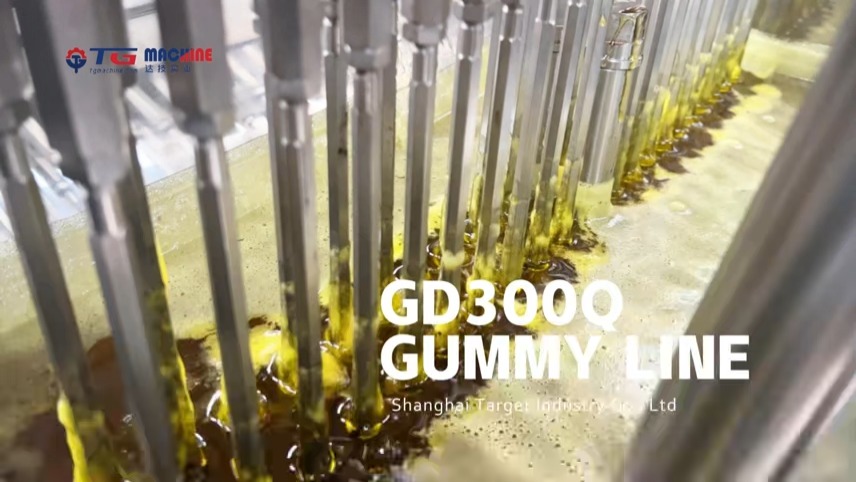 Gummy արտադրության գիծ GD300Q 1