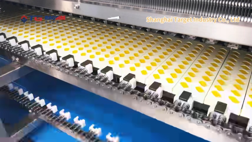 Linia do produkcji żelków GD150Q 1