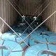 Hotgalvanized Sheet Plate Brand 2