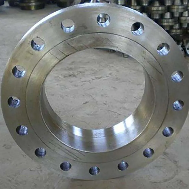 OEM Pipe Flange Suppliers 2