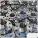 Flanged Pipe Fittings 1