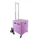 NB ZHONGYI Brand Best Shopping Cart for Stairs Factory ZY-UW-2 5