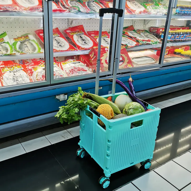NB ZHONGYI Stair Climbing Grocery Cart 3