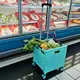 NB ZHONGYI Stair Climbing Grocery Cart 3