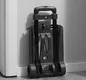 Best Portable Luggage Cart Folding Portable Trolley Bulk Buy 315X230X970mm NB ZHONGYI 3
