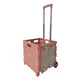 Folding Trolley Cart NB ZHONGYI Brand 35kg 880x460x290MM 2