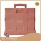 Folding Trolley Cart NB ZHONGYI Brand 35kg 880x460x290MM 1