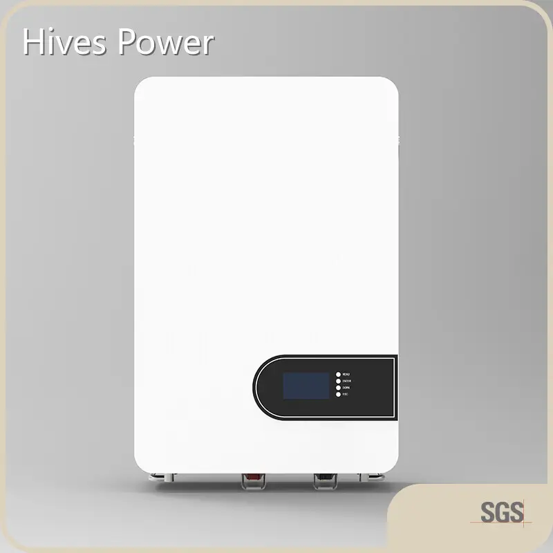 Factory Price Renewable Energy Storage Factory for Home 1