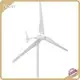 Custom 5kw Horizontal Wind Turbine Manufacturers Manufacturer | Naier 1