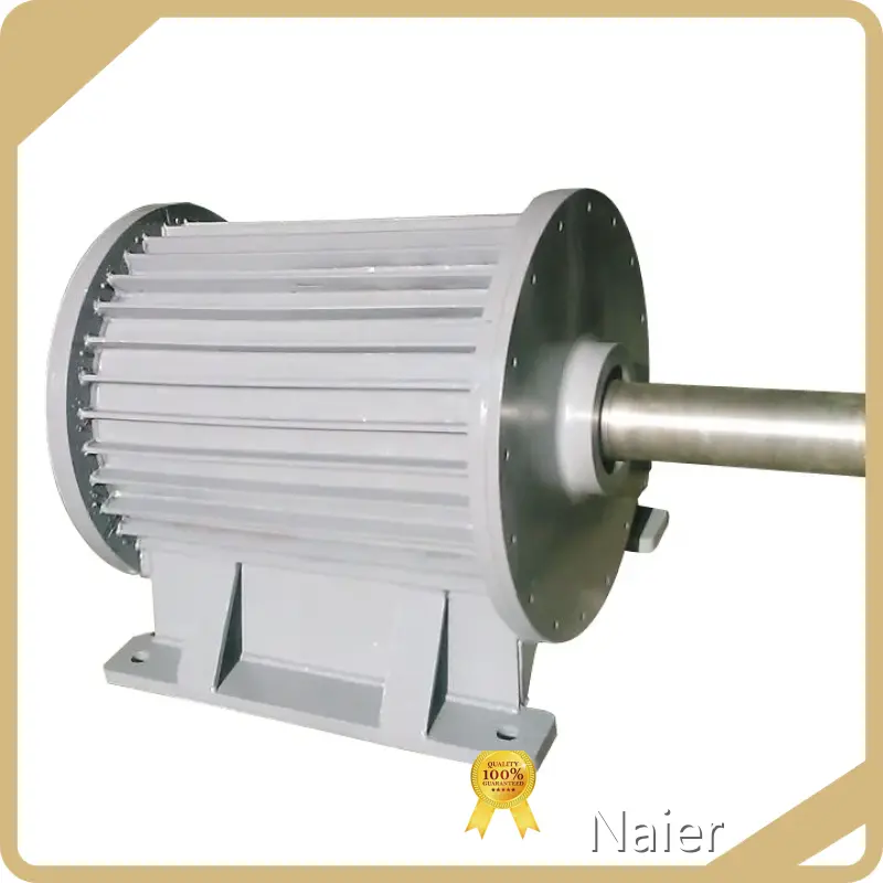 Custom Permanent Magnet Electric Generator 380V Or As Your Order Naier 1