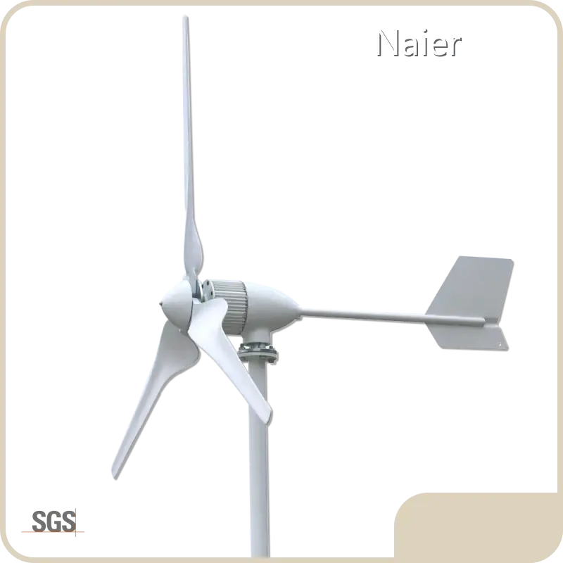 High-qualityhorizontal Wind TurbineNaier Company 1