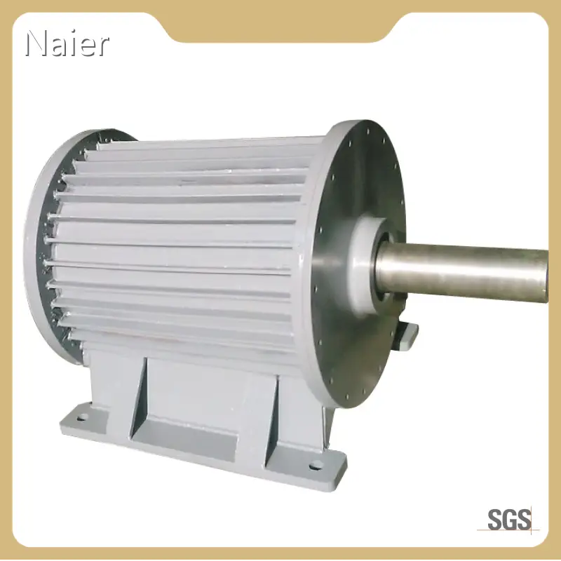 Top Permanent Magnet Generator for Sale Naier Company 1