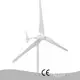 Custom 5000 Watt Wind Turbine Vendor Manufacturer | Naier 1
