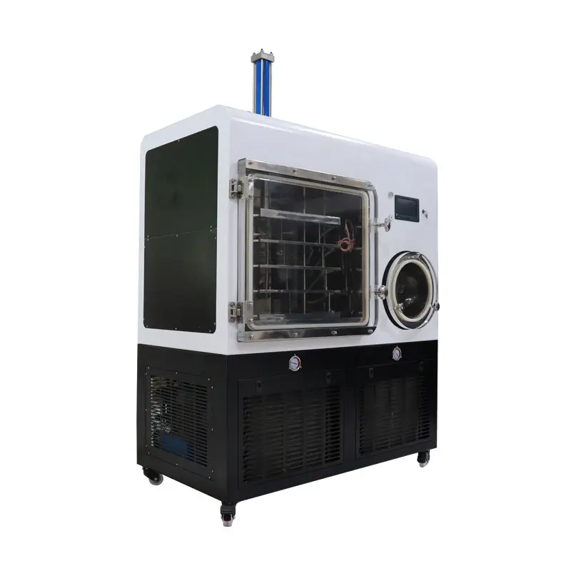 Liofilizador de laboratorio caliente Serve Real Instruments Marca 2
