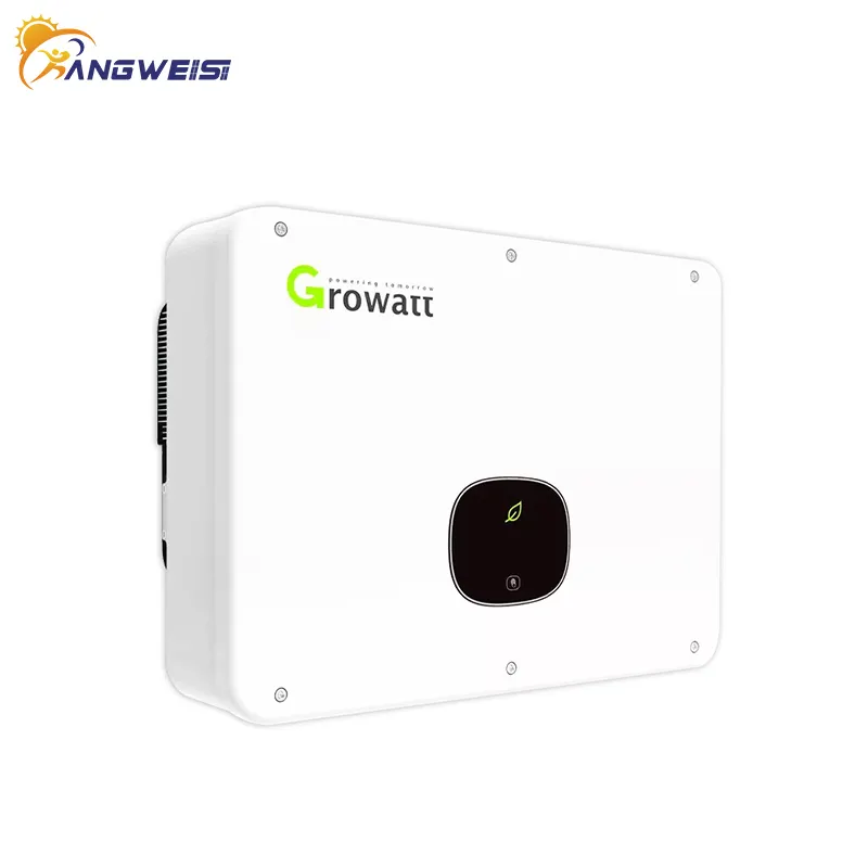 On Grid Inverter Kangweisi Manufacture Western Union 5