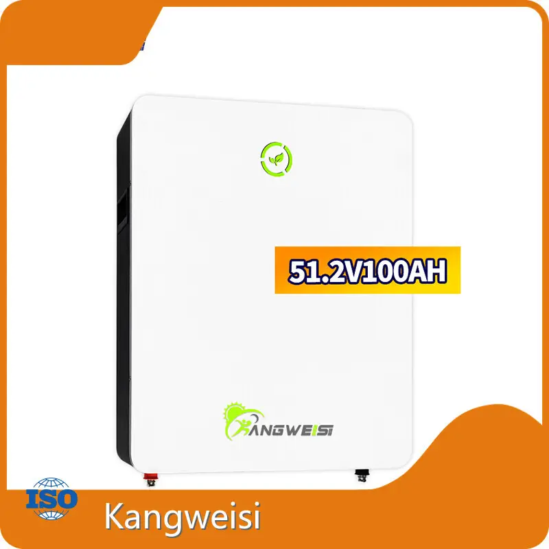 Kangweisi Brand Wholesale Lithium Battery >6000. 25°C Supplier 1