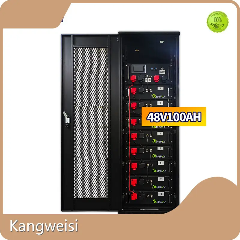 Lithium Battery Supplier >6000. 25°C Kangweisi Company 1