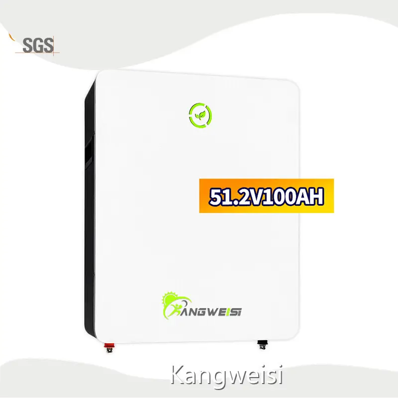Lithium Ion Wholesale LiFeP04(LFP) Wholesale - Kangweisi 1