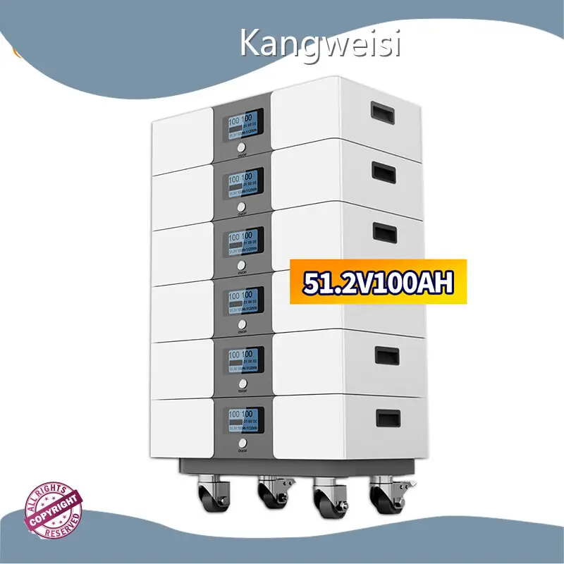 Kangweisi Top Lithium Ion Battery Manufacturers for 1