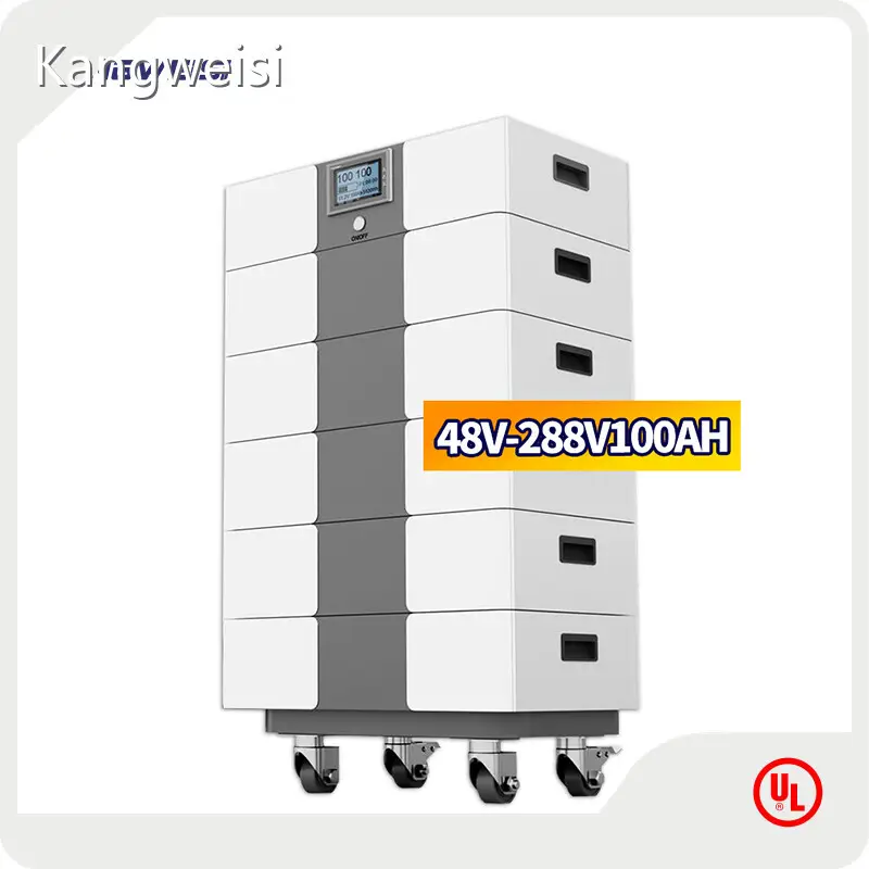 Kangweisi Brand Lithium Ion Battery Manufacturers KWS High Voltage Series Factory 1