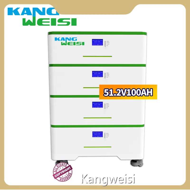 Customlithium Battery Wholesale ≥6000 Cycles @ 0.2C 100%D.0.D 51.2V100AH 1