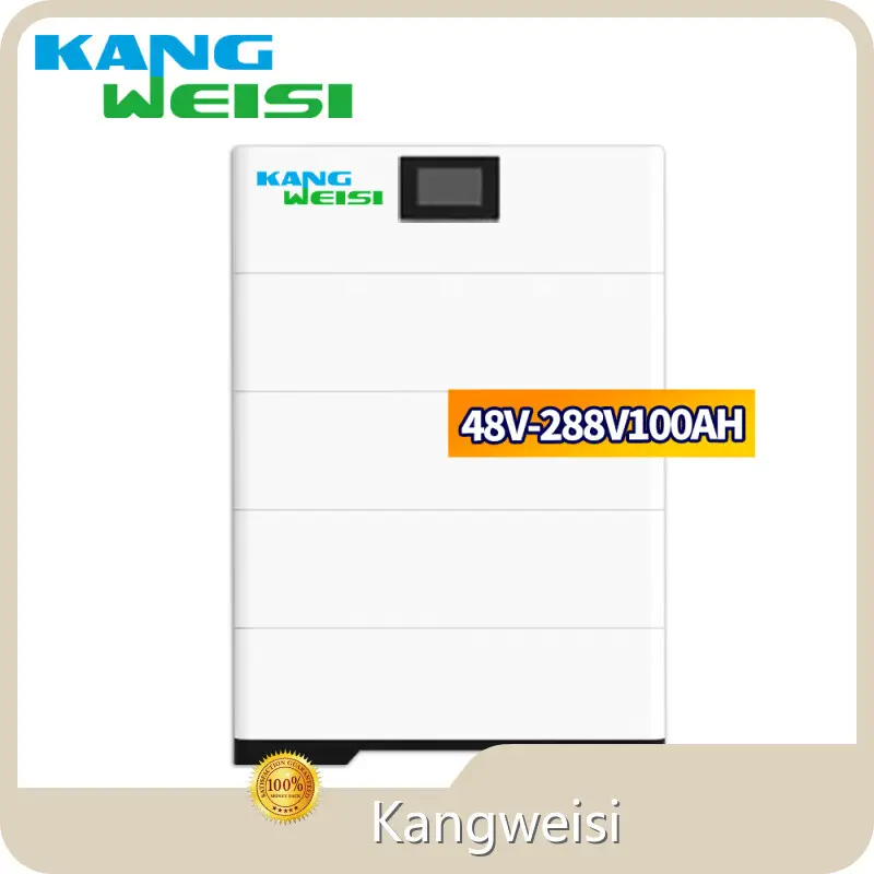 Kangweisi Lithium Ion Battery Manufacturer 48/51.2Vsupply 1