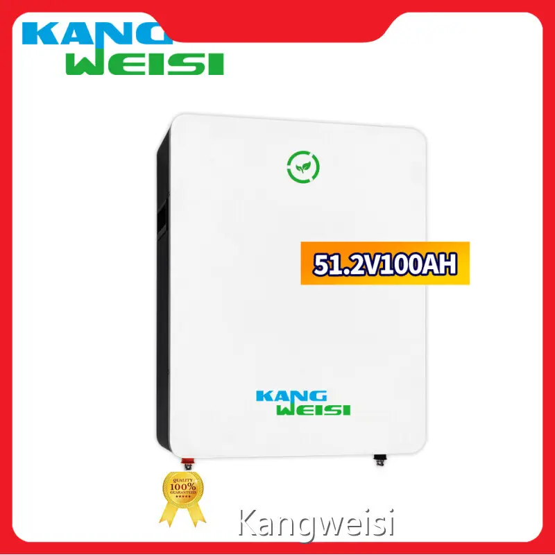 Lithium Battery Distributors Lifepo4 by Kangweisi 1