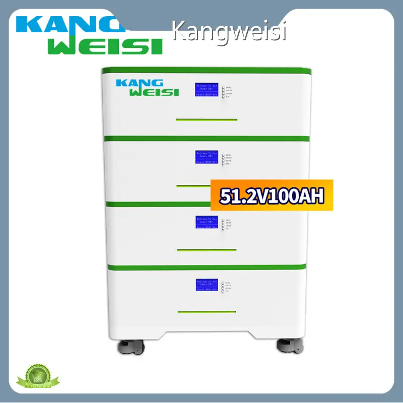Kangweisi Lithium Ion Wholesale ≥6000 Cycles @ 0.2C 100%D.0.D Lithium Ion Wholesalesuppliers 1