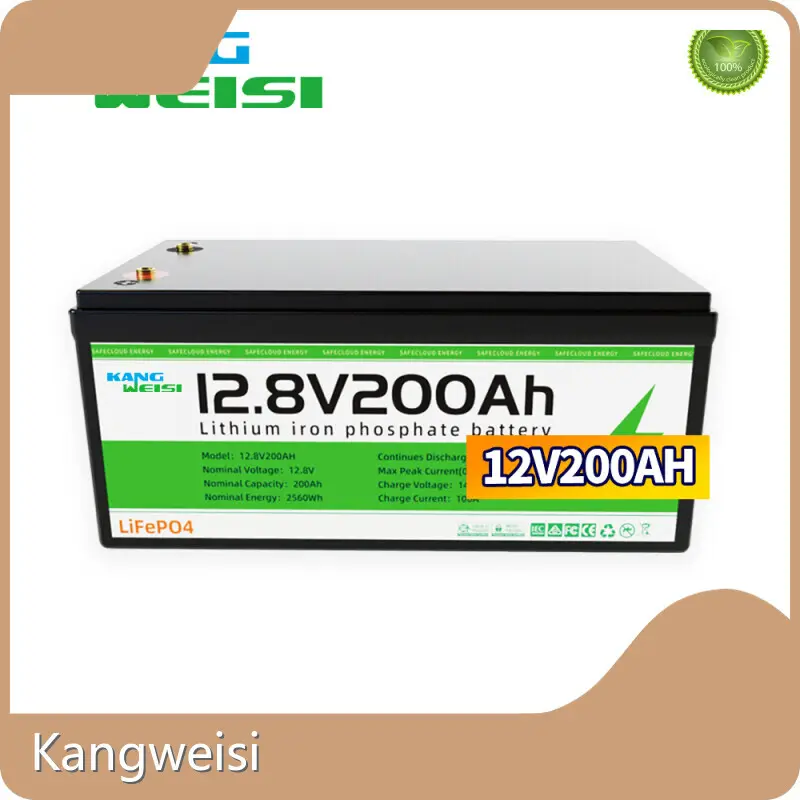 Newsolar Powered Products 12V 2560Wh 1