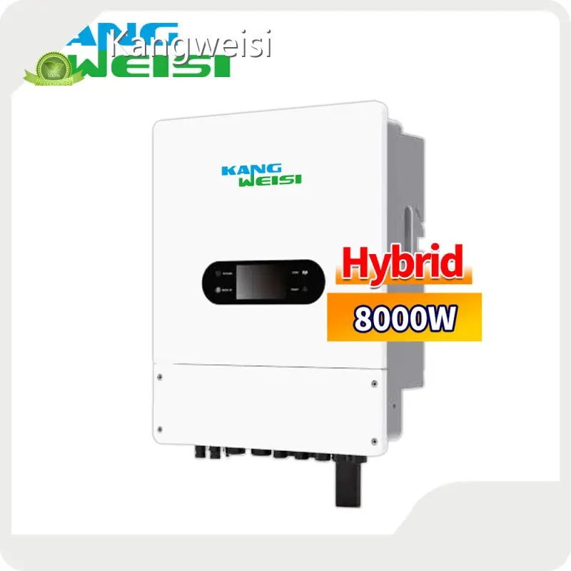 Custom Made Hybrid Power Inverter Hybrid Power Inverter Company 1