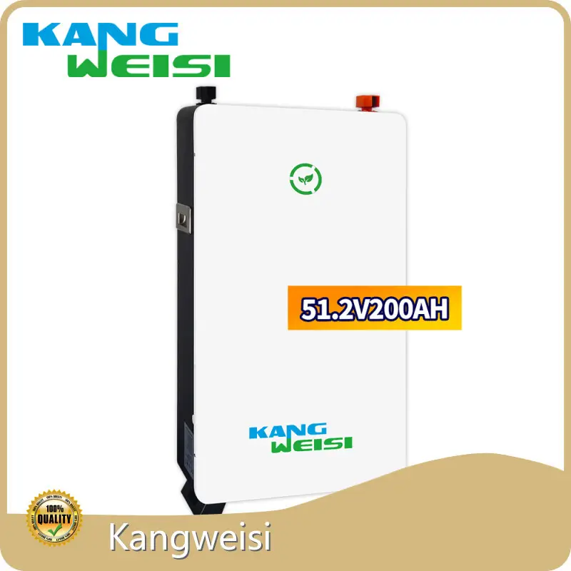 Solar Powered Products LiFePO4 Battery - - Kangweisi 1