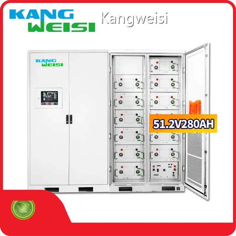 Custom Lithium Battery Supplier 1
