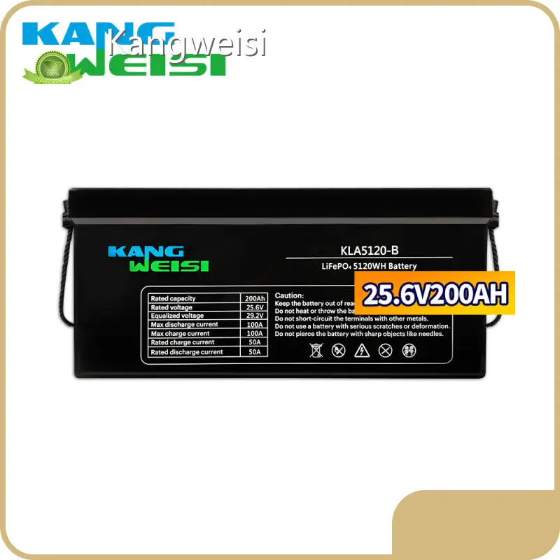 Quality Lithium Ion Battery Manufacturer Price List 1